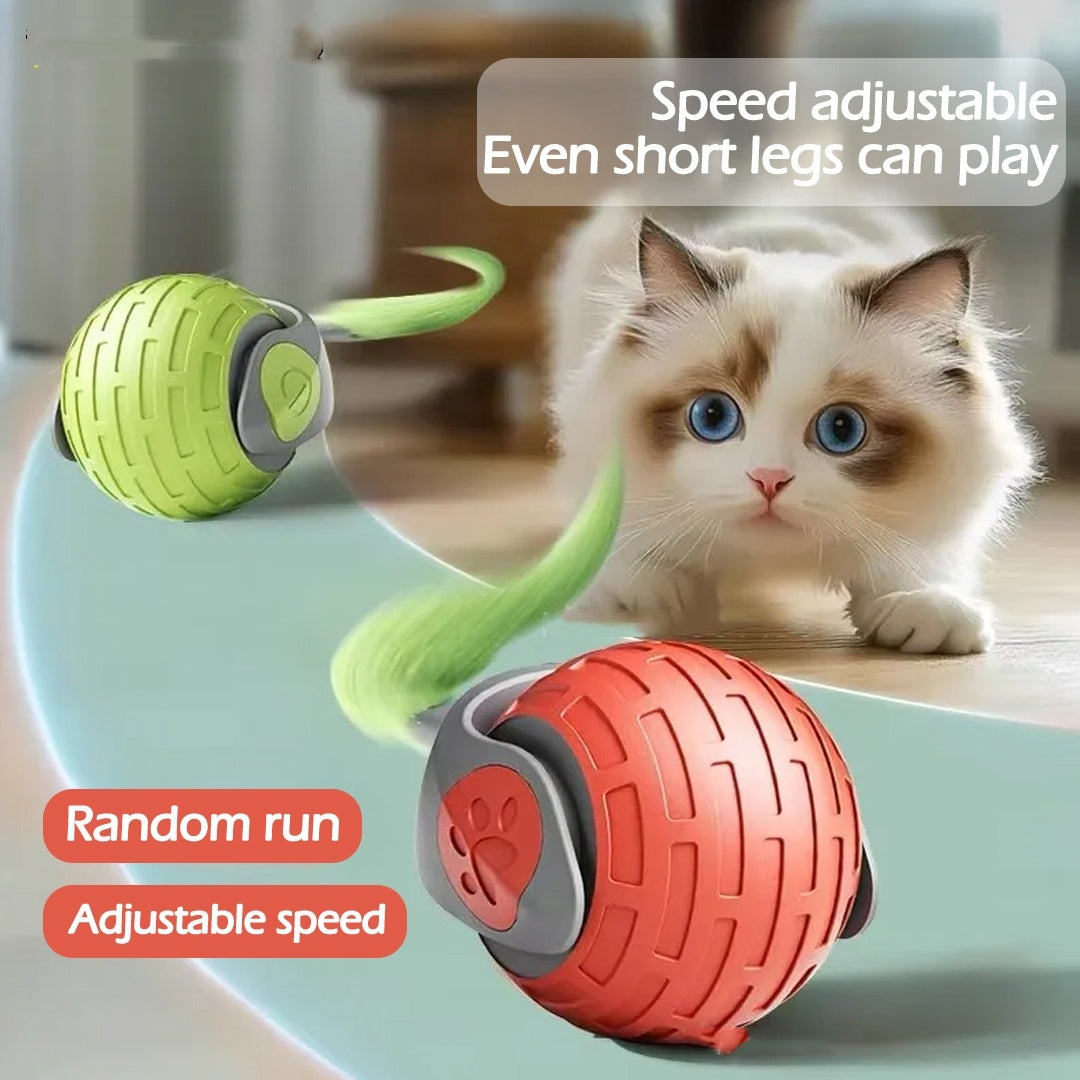 Electric cat toy rolling across a wooden floor.