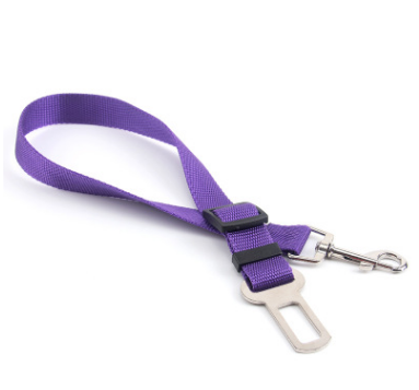 A dog leash hanging loosely from a person's hand, as a dog sniffs a tree, capturing a moment of relaxed exploration.