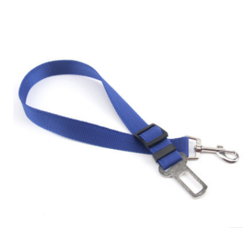 A dog leash being held loosely, as a well-behaved dog walks calmly beside its owner.