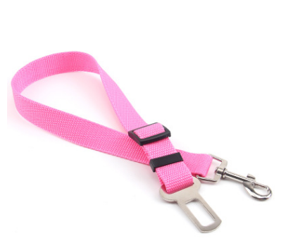 A dog leash tangled playfully around a dog's legs as it sits patiently.