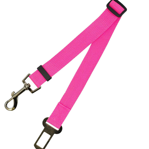 A dog leash lying on the floor next to a pair of muddy boots, indicating a walk in wet weather.