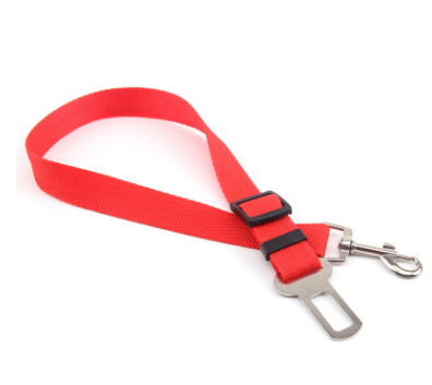 A dog leash wrapped around a person's wrist, showing a casual, hands-free approach to walking a small dog.