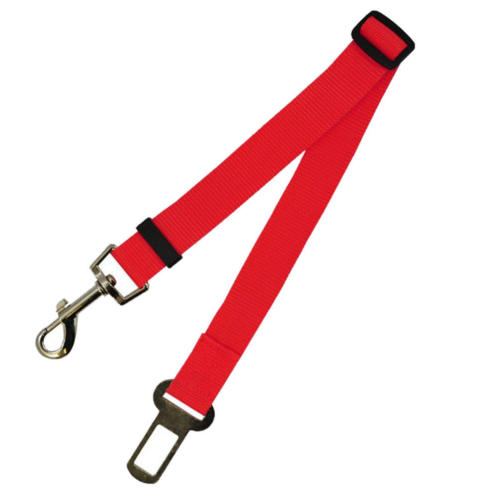 A retractable dog leash extended, allowing a dog to explore a grassy field while the owner holds the handle.