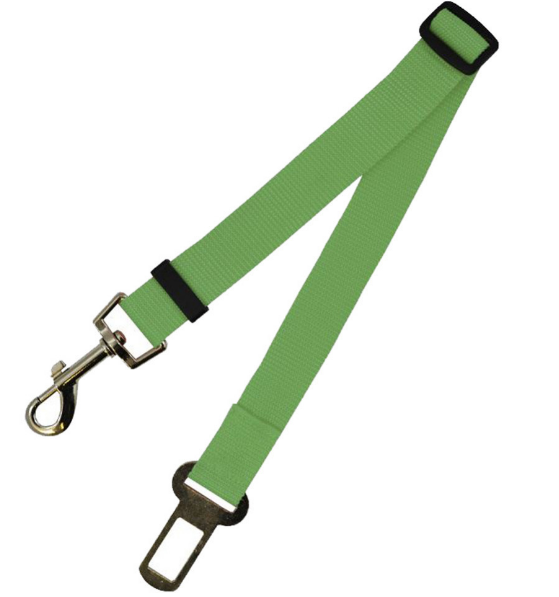 A dog leash being used to guide a dog through an agility course.