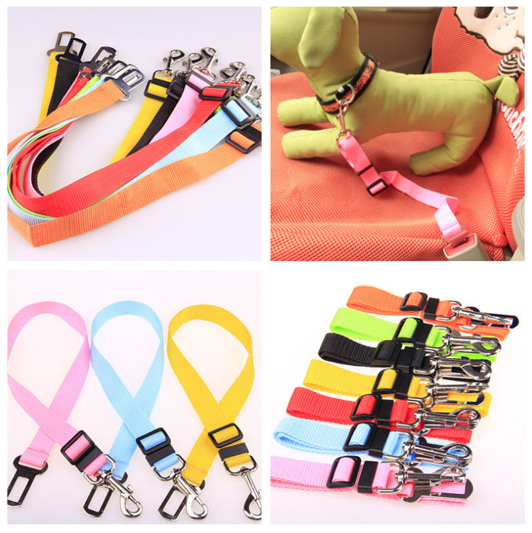 A dog leash coiled neatly on a table, next to a dog bowl and toys.