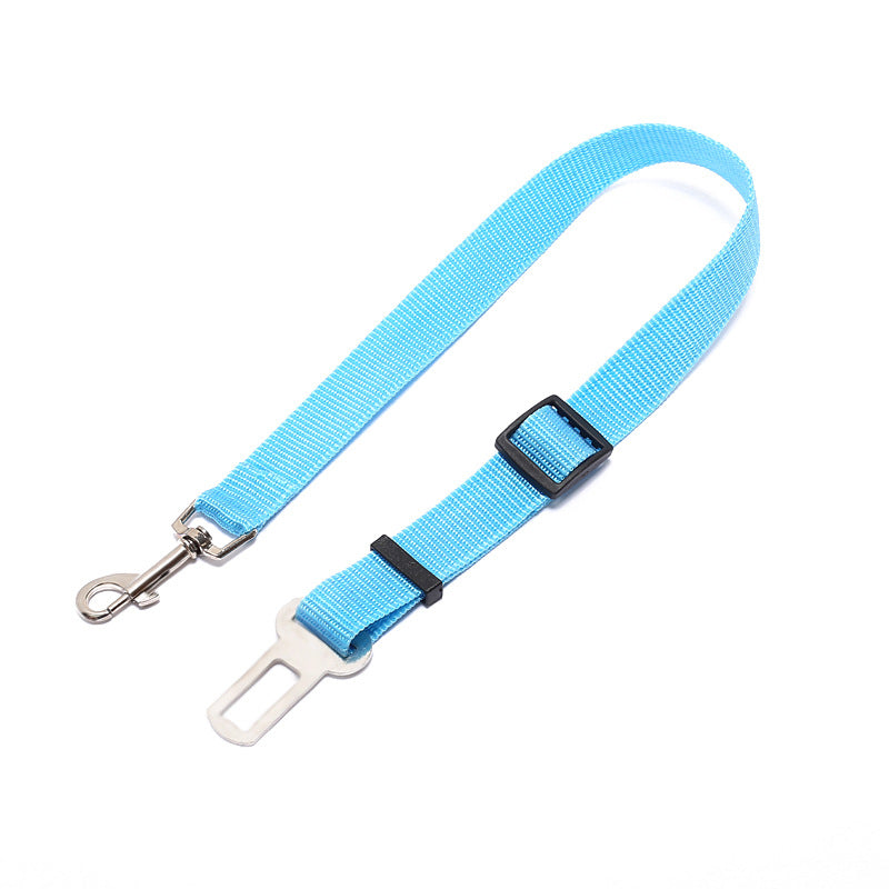 A dog leash hanging on a doorknob, signaling an upcoming walk.