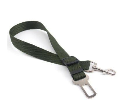 A person's hand holding a dog leash, with the dog's tail wagging excitedly in the background.
