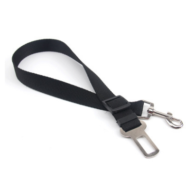 A dog leash and a roll of waste bags in a person's hand, ready for a walk in the park.