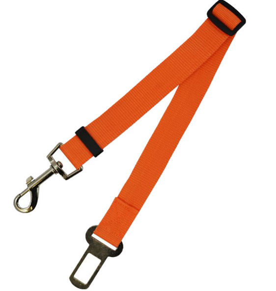 A close-up of a metal clasp connecting a dog leash to a collar.