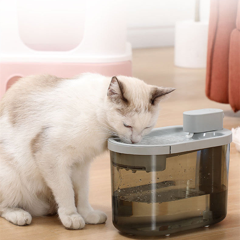 A rechargeable cat drinking fountain with sterilization, ensuring clean water for your pet.