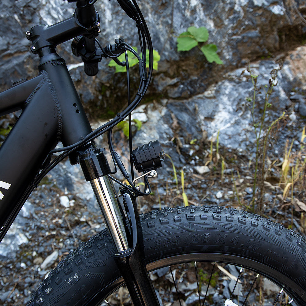 Professional Electric Bike: Highperformance e-bike for serious riders.