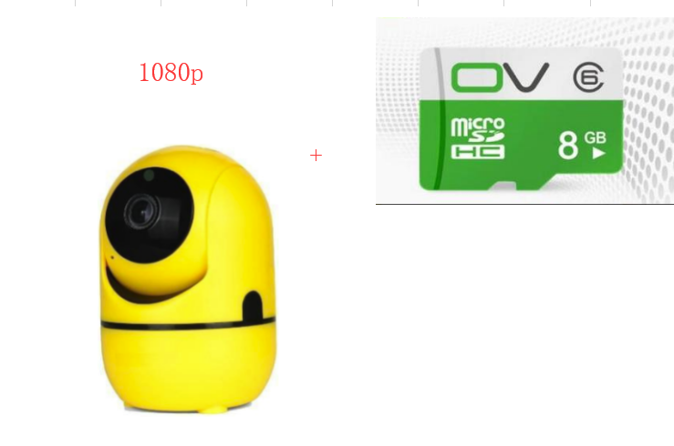 Wireless IP Camera