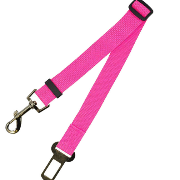 Dog Leash