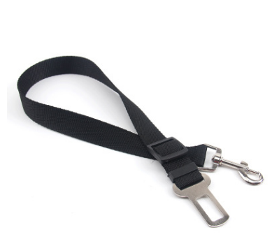 Dog Leash