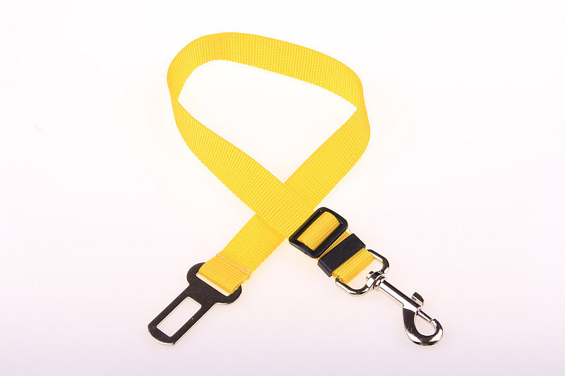A dog leash with a personalized tag attached, showing the dog's name and owner's contact information.