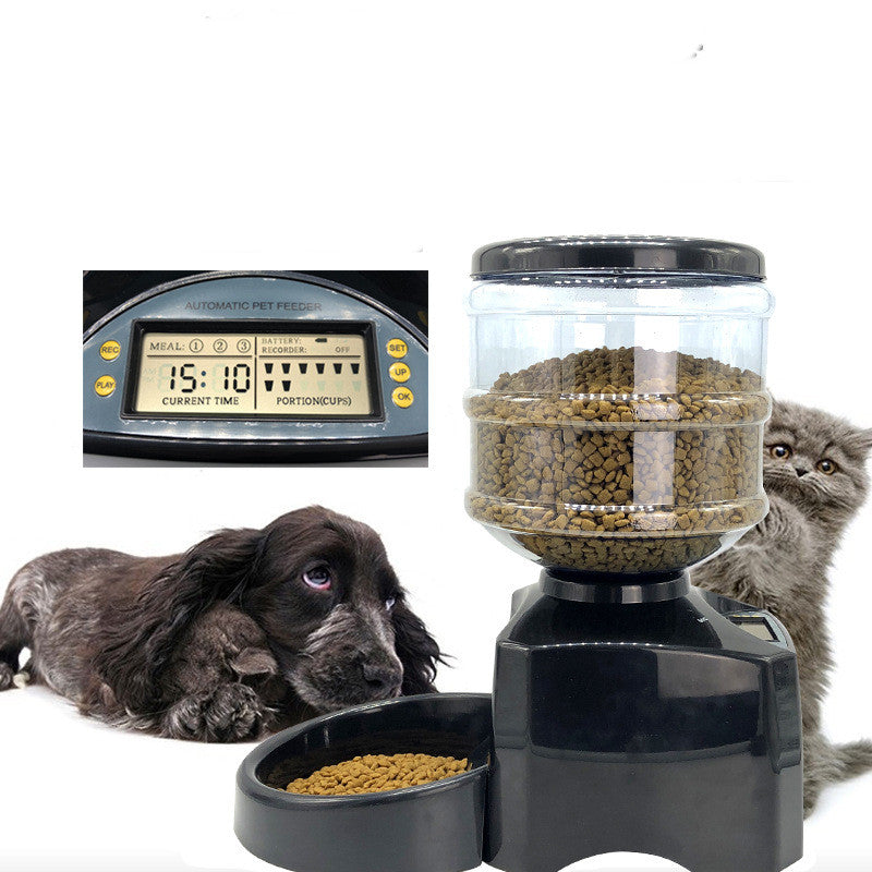Automatische Fütterungsmaschine für Haustiere